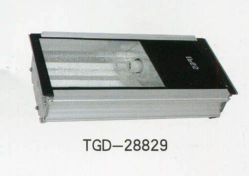 TGD-28829