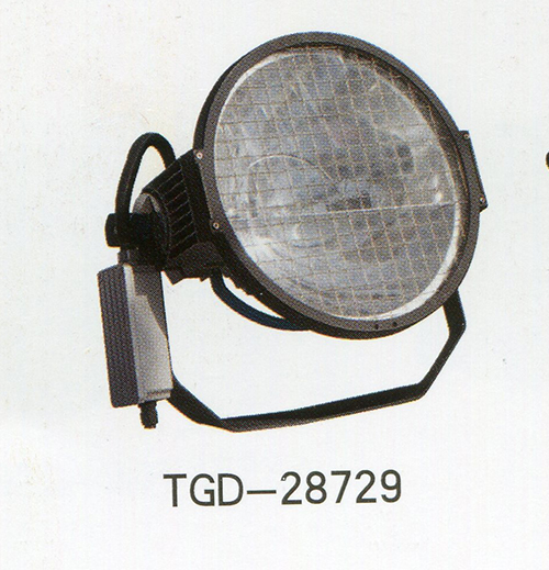 TGD-28729